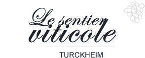 Le sentier Viticole - Le sentier viticole de Turckheim